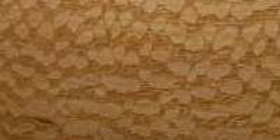 corkwood