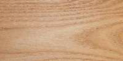 elm