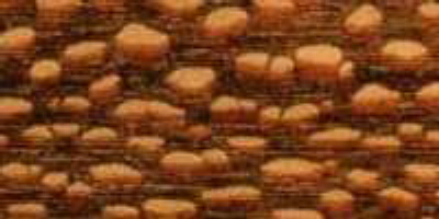 faieira