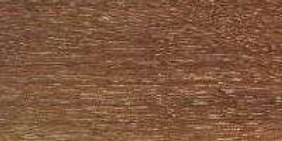 sapodilla